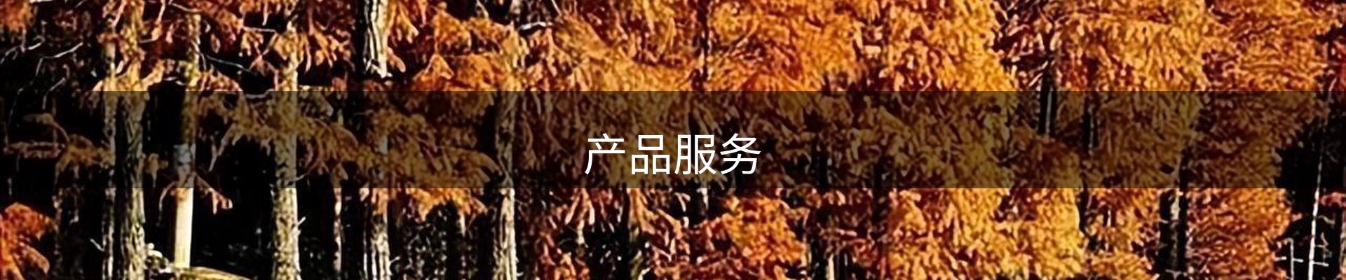 产品服务